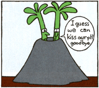 Seasonal Gardening: Wood Ashes, Christmas Tree Thieves and Organic Deer Repellent Image